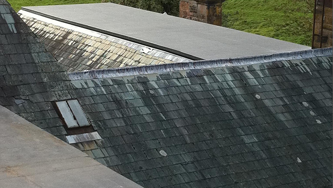 Roof Maintenance